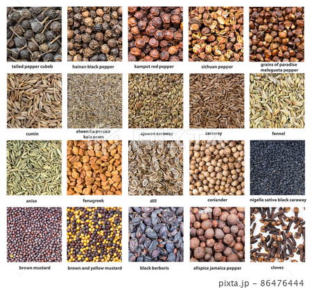 various flavoring seeds with names close up various flavoring seeds with names close up 86476444