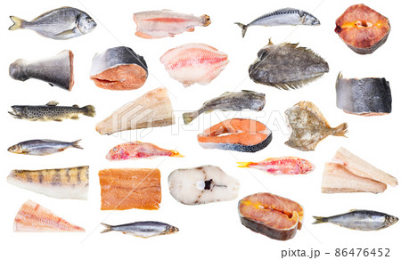 set of various frozen fishes and steaks isolated 86476452