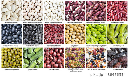 various beans with names close up various beans with names close up 86476554