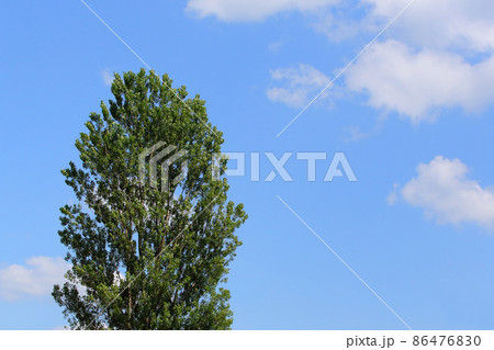 夏の空 青空 夏空 雲 夏 里山 夏の空 青空 夏空 雲 夏 里山 86476830