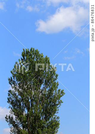 夏の空 青空 夏空 雲 夏 里山 夏の空 青空 夏空 雲 夏 里山 86476831