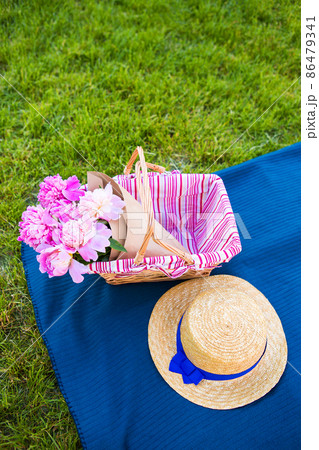 Picnic on nature Picnic on nature 86479341