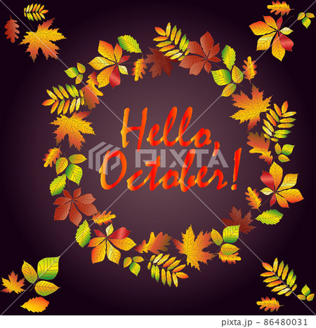 Hello, October. Multicolored text in a frame made from autumn maple leaves, oak, chestnut, etc. Postcard, background. 86480031