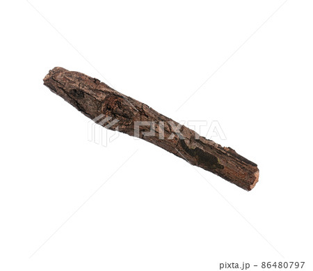 Dry tree branch on white 86480797