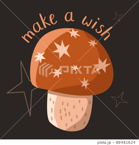 Beautiful Amanita muscaria mushroom with star cap and quote make a wish Beautiful Amanita muscaria mushroom with star cap and quote make a wish 86481624