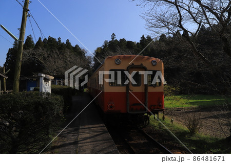 房総半島のローカル線小湊鉄道と菜の花 86481671