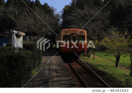 房総半島のローカル線小湊鉄道と菜の花 房総半島のローカル線小湊鉄道と菜の花 86481683