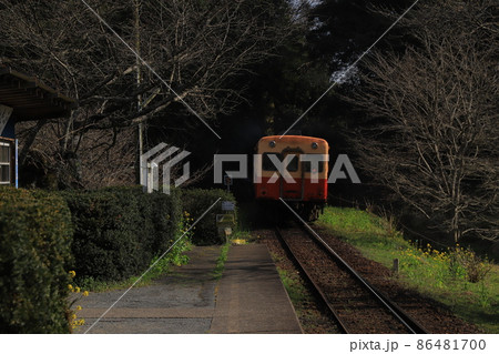 房総半島のローカル線小湊鉄道と菜の花 房総半島のローカル線小湊鉄道と菜の花 86481700