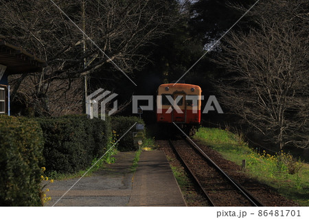 房総半島のローカル線小湊鉄道と菜の花 房総半島のローカル線小湊鉄道と菜の花 86481701