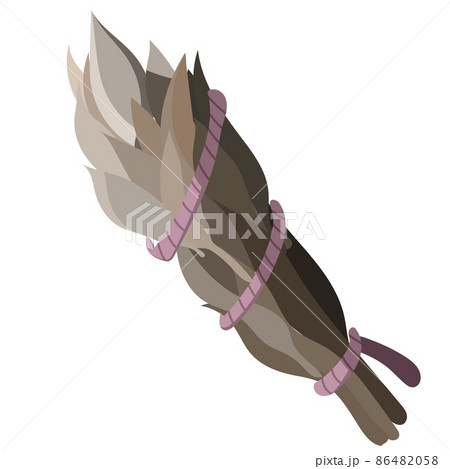 Simple green smudge stick on white background Simple green smudge stick on white background 86482058