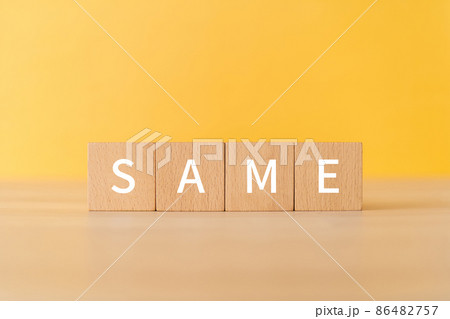 「SAME」と書かれた積み木 「SAME」と書かれた積み木 86482757