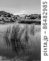 View of Biviere lake with Etna volcano, Nebrodi National Park, Sicily, Italy 86482985