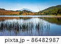 View of Biviere lake with Etna volcano, Nebrodi National Park, Sicily, Italy 86482987