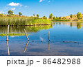 View of Biviere lake on a sunny summer day, Nebrodi National Park, Sicily, Italy 86482988
