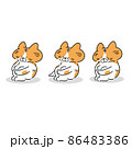 座っている茶白猫の詰め合わせ 86483386