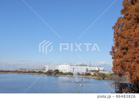 埼玉県久喜市久喜菖蒲公園昭和沼の風景 86483826