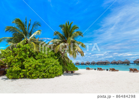 Sunbed and umbrella in the Maldives 86484298