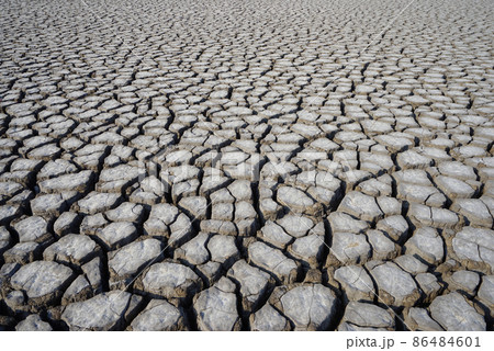 ノルダ 自然 屋外 86484601