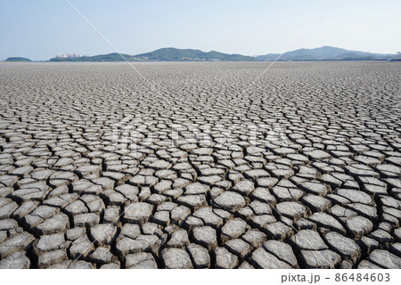 ノルダ 自然 屋外 86484603