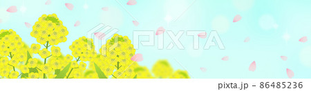 菜の花と舞い散る桜の花びら バナー用背景イラストのイラスト素材