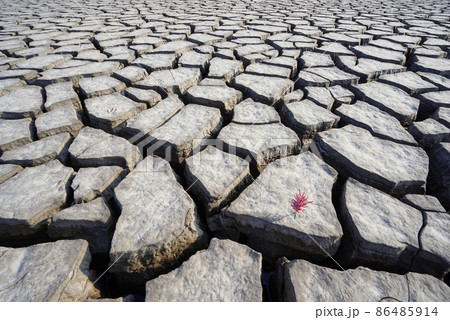 自然 屋外 風景 86485914