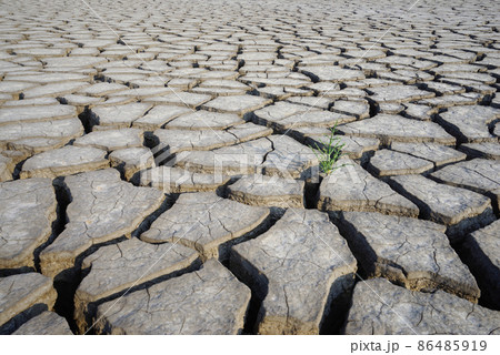 自然 屋外 風景 86485919