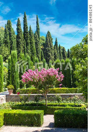 Gardens in Alhambra palace in Granada Gardens in Alhambra palace in Granada 86486145