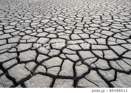 自然 屋外 風景 86486612