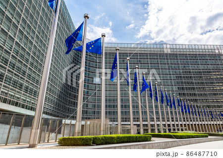 European flags  in Brussels 86487710
