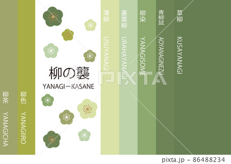 日本の伝統色 かさね色 柳襲 日本の伝統色 かさね色 柳襲 86488234