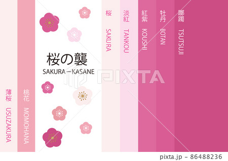 日本の伝統色 かさね色 桜襲のイラスト素材 [86488236] - PIXTA
