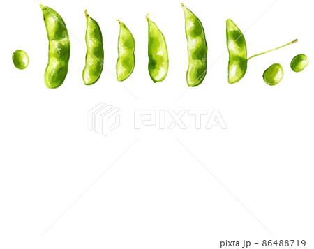 手描き水彩の枝豆 茶豆 イラスト長方形フレーム 上のイラスト素材