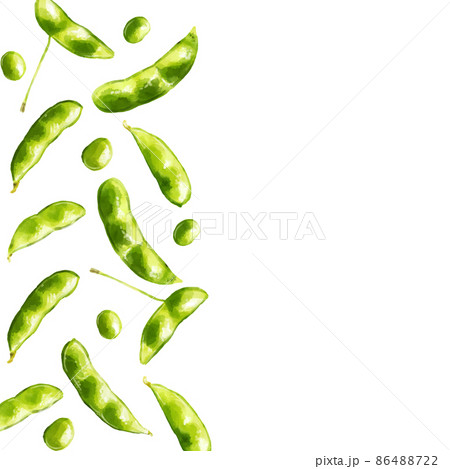 手描き水彩の枝豆 茶豆 イラスト正方形フレーム 左のイラスト素材