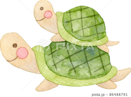 亀の親子のイラスト 亀の親子のイラスト 86488791
