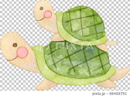 亀の親子のイラスト 亀の親子のイラスト 86488791