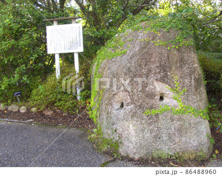 徳川大阪城東六甲採石場の花崗岩の巨岩/西宮市北山緑化植物園の入り口/兵庫県西宮市 86488960
