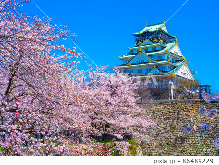 大阪城と西の丸庭園の桜 86489229