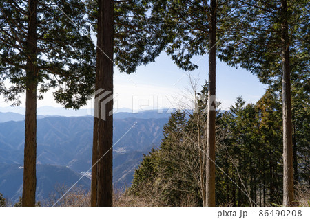 白倉分岐から富士見台へ向かう登山道から見た富士山(馬頭刈山尾根) 白倉分岐から富士見台へ向かう登山道から見た富士山(馬頭刈山尾根) 86490208