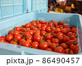 ミニトマト 86490457