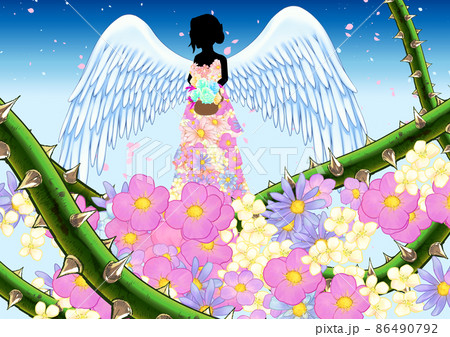 天空の女神 天空の女神 86490792
