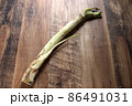 春の山菜のうど 86491031