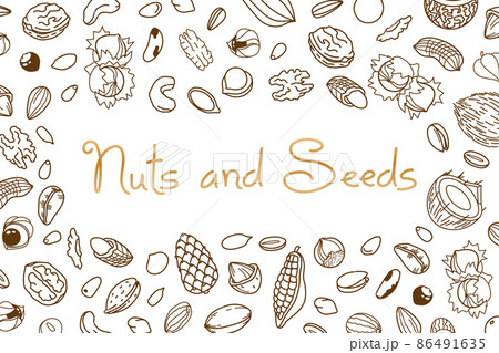 Vector frame, packaging design of nut and seed mix or snack. Walnut, peanut and sunflower seeds. Almond, pistachio, cashew, hazelnut and macadamia. Illustration in line art style 86491635