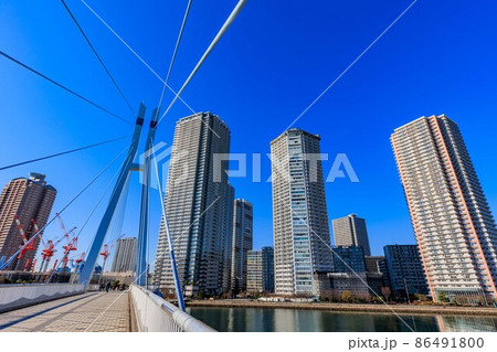 東京都 江東区東雲の都市風景 辰巳桜橋とタワーマンション群 東京都 江東区東雲の都市風景 辰巳桜橋とタワーマンション群 86491800