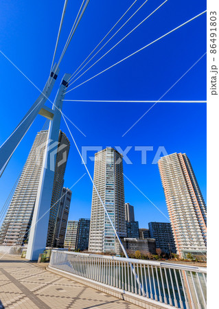 東京都　江東区東雲の都市風景　辰巳桜橋とタワーマンション群 86491803