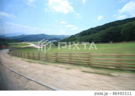 江原道 大関嶺 牧場 86492311