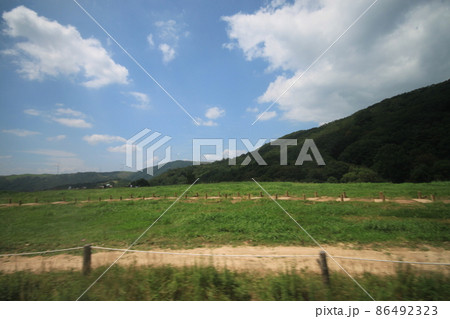 江原道 大関嶺 牧場 86492323