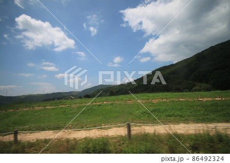 江原道 大関嶺 牧場 86492324