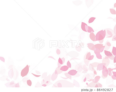 右下に桜舞い散る背景 白バックのイラスト素材