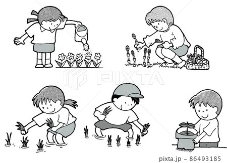 子供の学校生活歳時記園芸田植えのイラスト素材 [86493185] - PIXTA