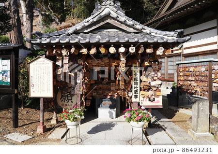 舘山寺　浜松市　浜名湖 86493231